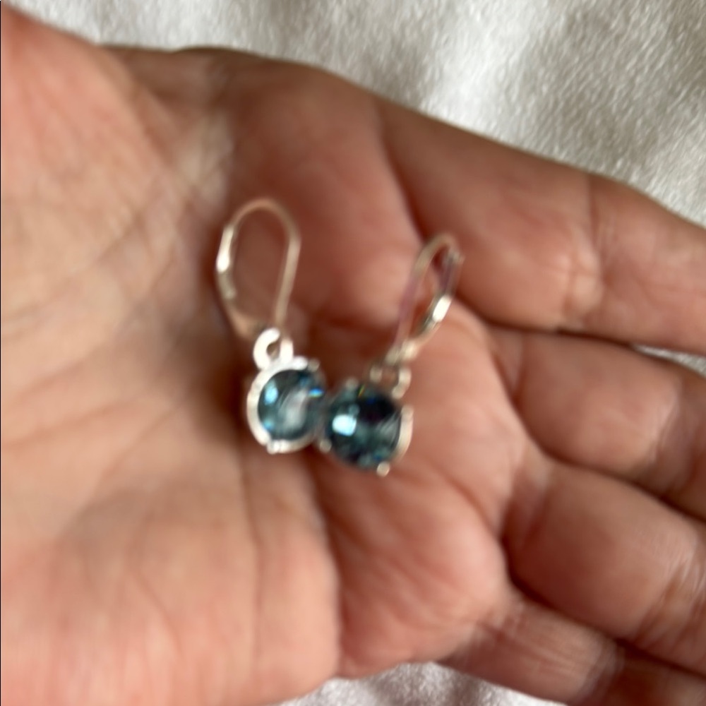 Blue Silver Earrings